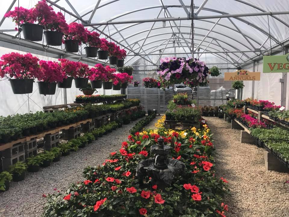 GREENHOUSE landscaping-companies-in-Ennis-TX