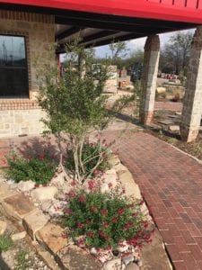 Waxahachie, Texas Landscape Contractors Service