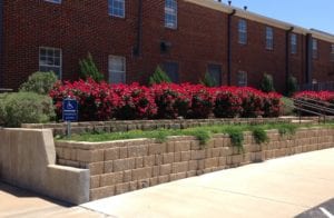 Commercial Landscaping in Corsicana, Texas