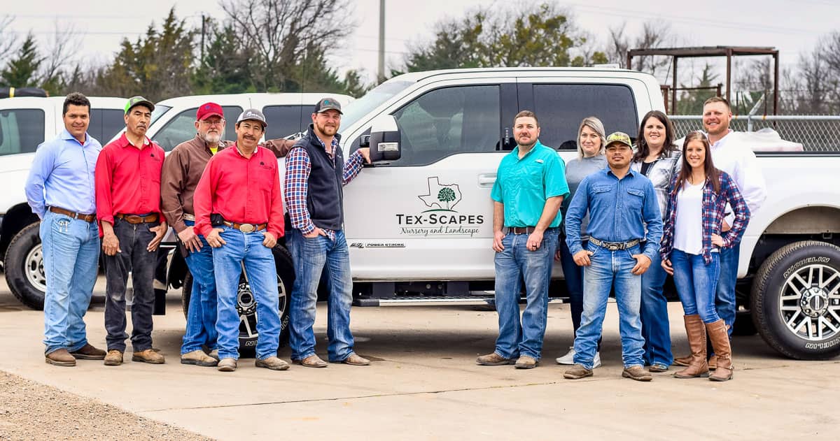 Tex-Scapes Team 3 Tex-Scapes Team 3