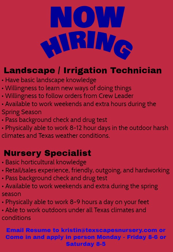 Job Job