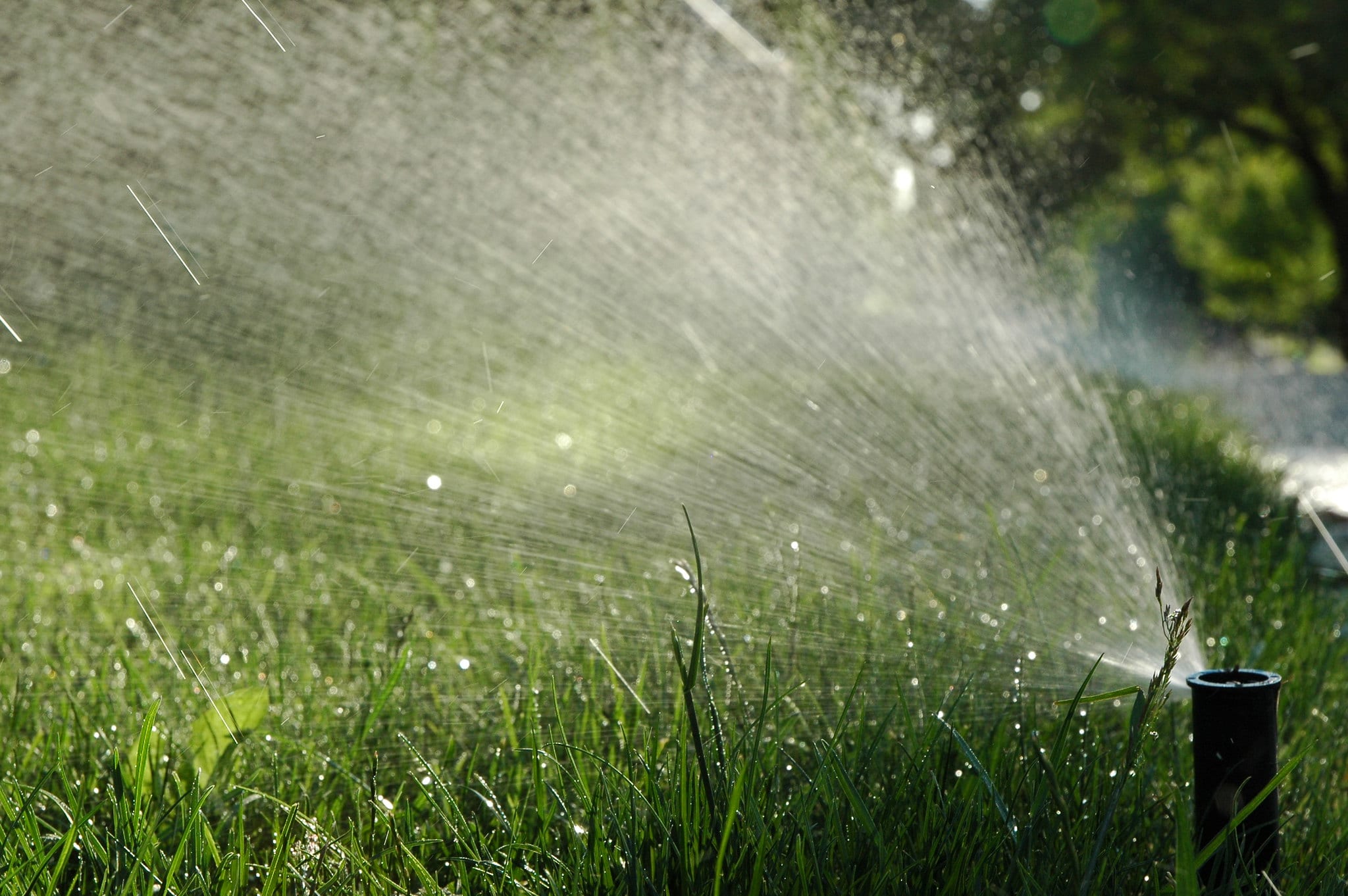 Lawn Sprinkler Service & Repairs