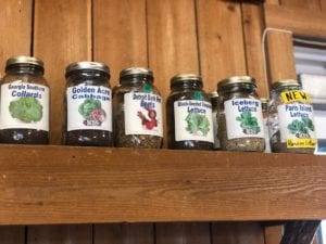 Veggies and Herbs for Your Texas Garden