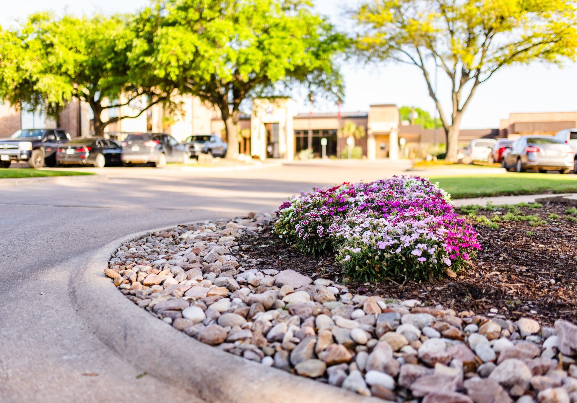 2b0a8378-6899b4f2daa8c