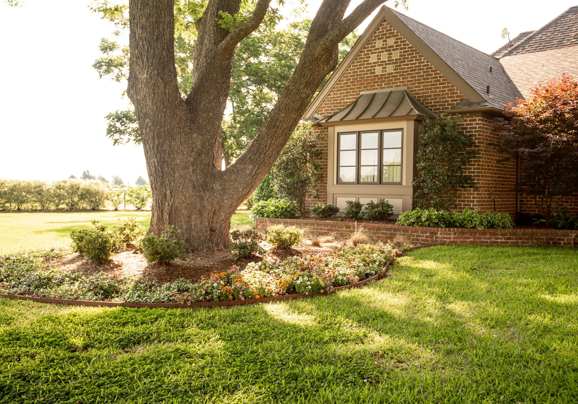 Ennis, Texas Landscape Design