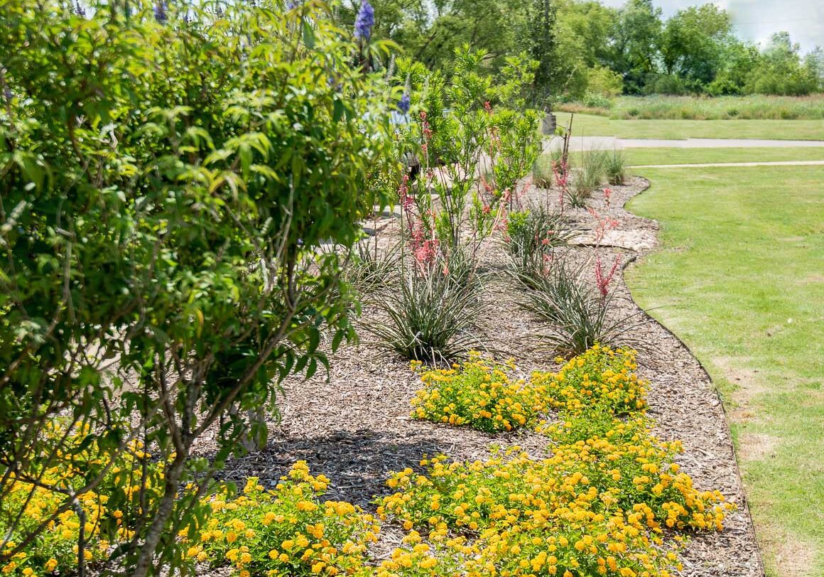 ennis-texas-commercial-landscaping