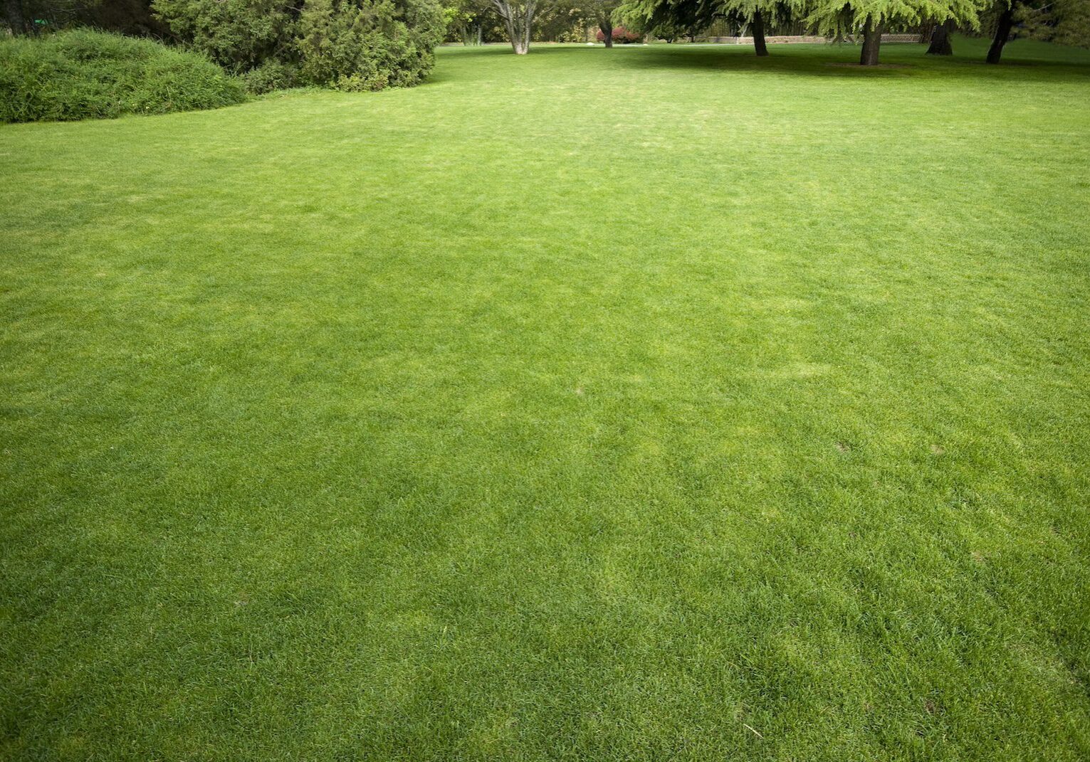 Ennis, TX Artificial Turf Installation