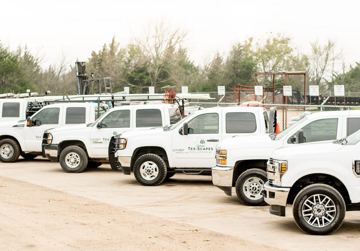 ennis-texas-commercial-landscaping